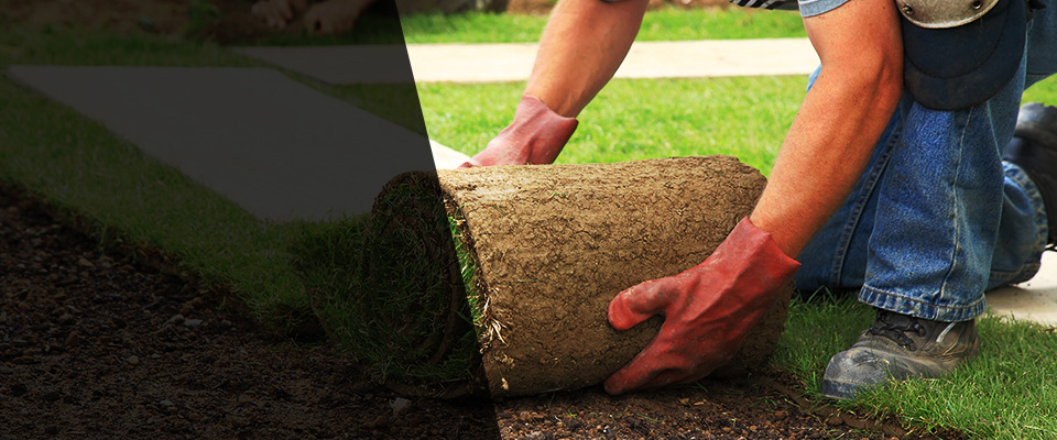 Loveland Landscapers